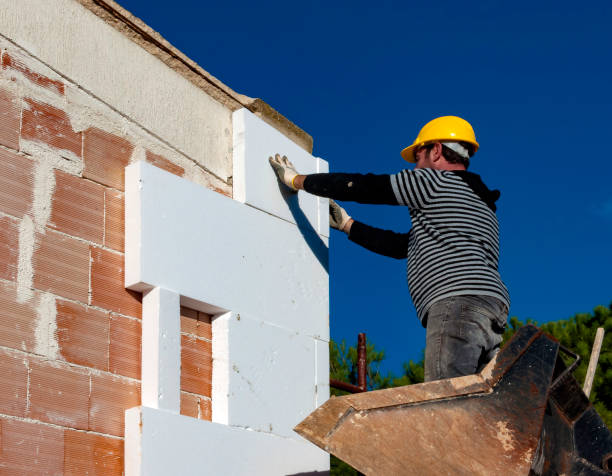 Professional Insulation Contractor in Seville, FL