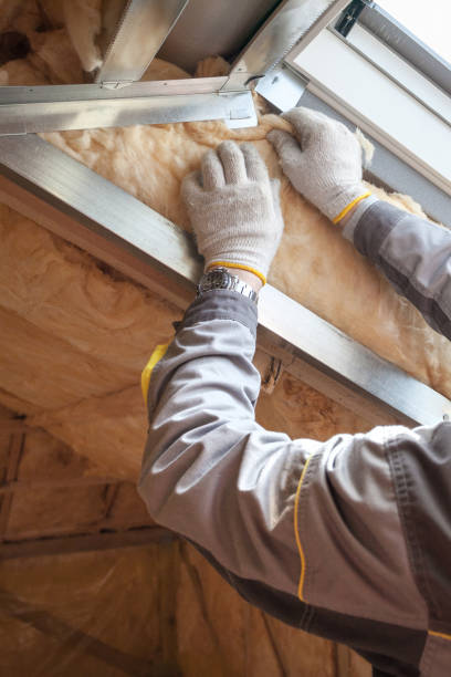 Best DIY Insulation Kits and Guidance in Seville, FL