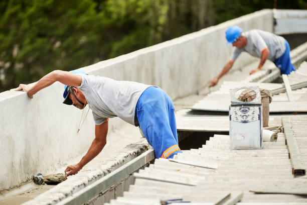 Best Specialized Insulation Services in Seville, FL