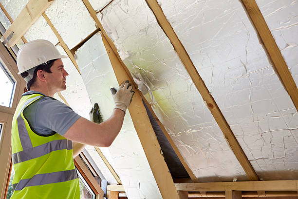 Types of Insulation We Offer in Seville, FL